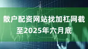散户配资网站找加杠网截至2025年六月底