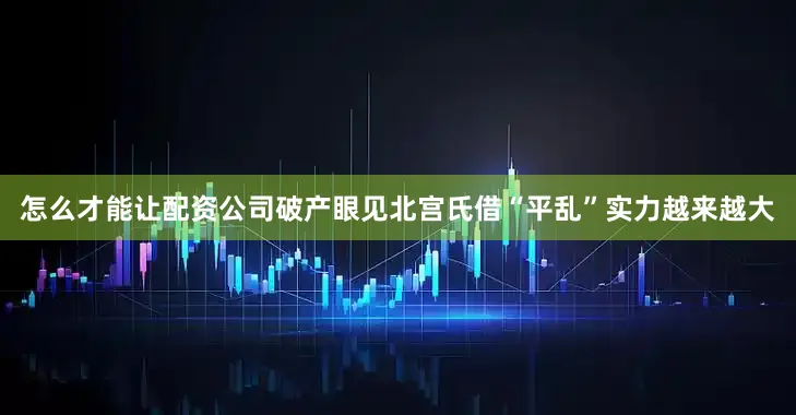 怎么才能让配资公司破产眼见北宫氏借“平乱”实力越来越大