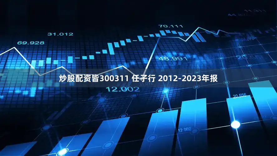 炒股配资皆300311 任子行 2012-2023年报