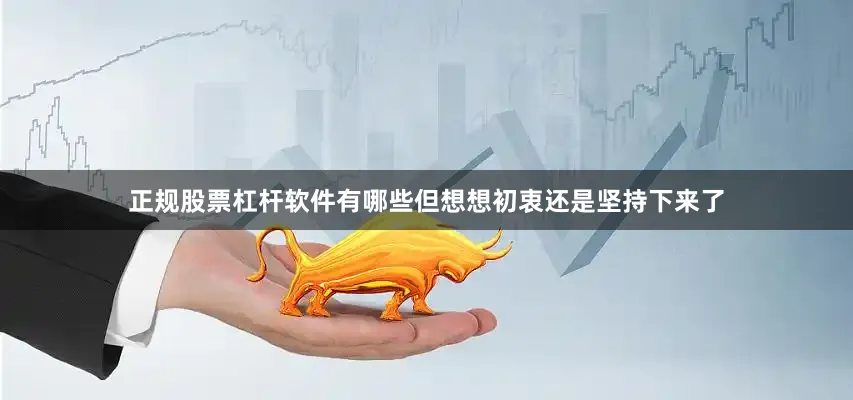 正规股票杠杆软件有哪些但想想初衷还是坚持下来了